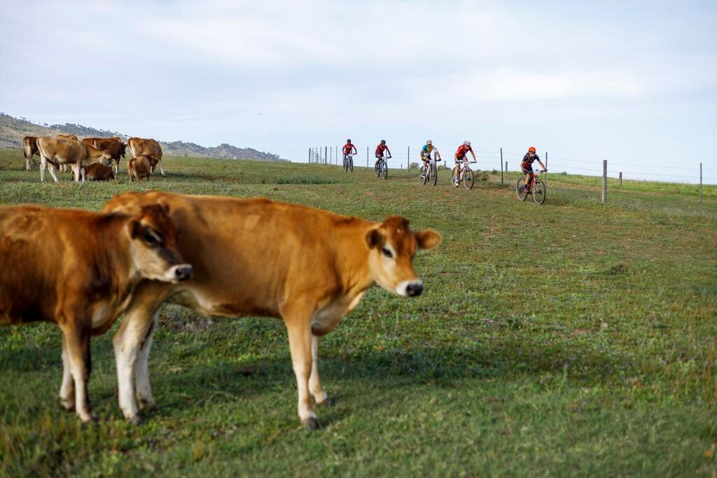 Paarl Trails - Rhebokskloof-帕尔必去景点