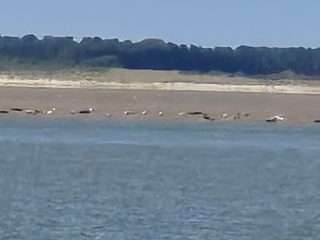 Baie de Somme-Somme必去景点