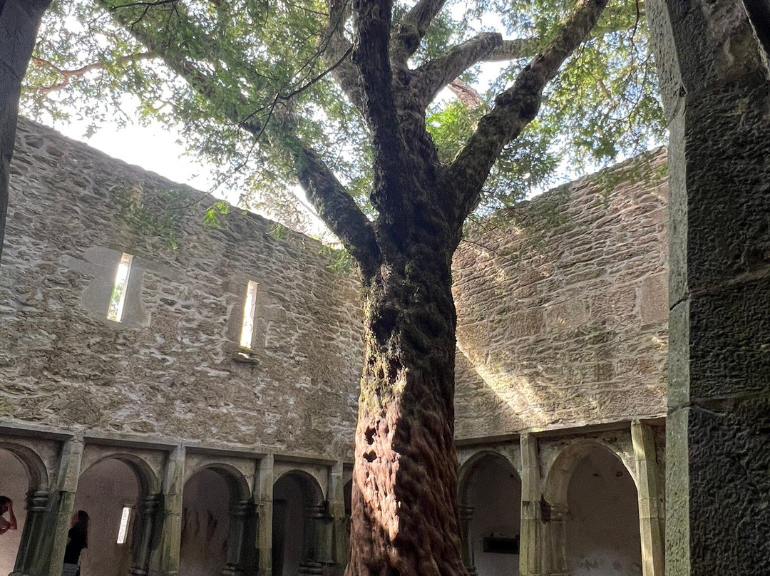 Muckross Abbey-基拉尼必去景点