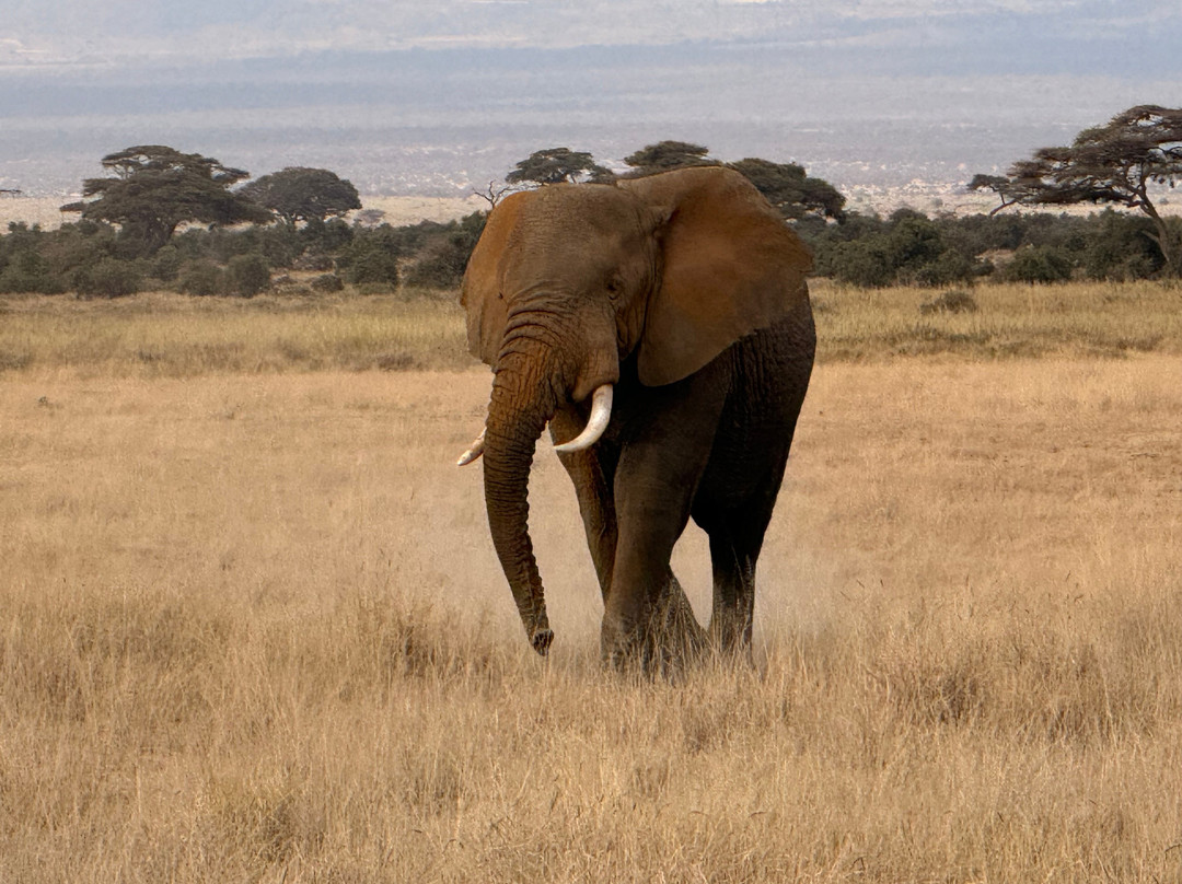 Brighte Maasai Adventures-Mara North Conservancy必去景点