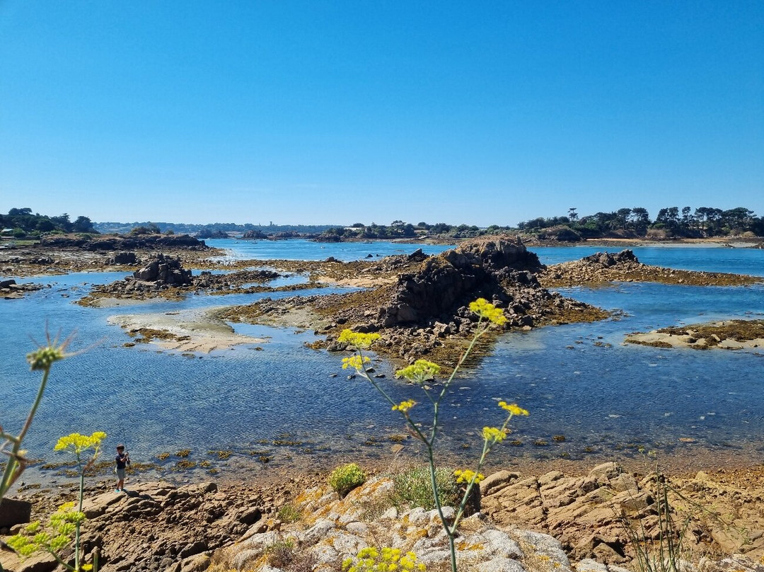 Moulin à Marée du Birlot-Ile-de-Brehat必去景点