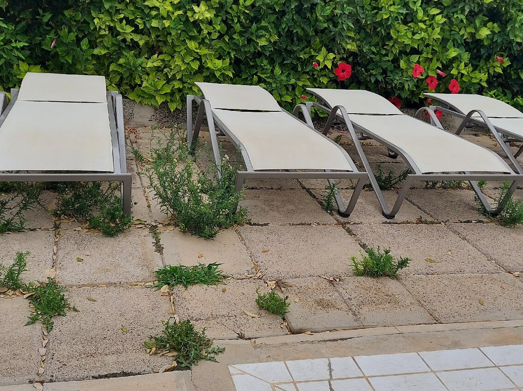 Inatel Porto Santo主图