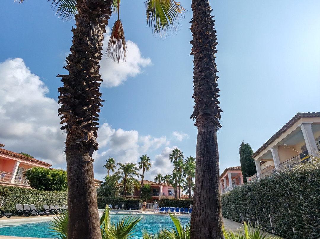 Résidence Odalys Référence La Palmeraie主图