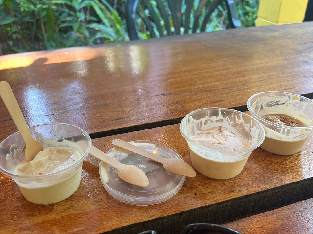 Floravilla Ice Creamery-Cow Bay必去景点