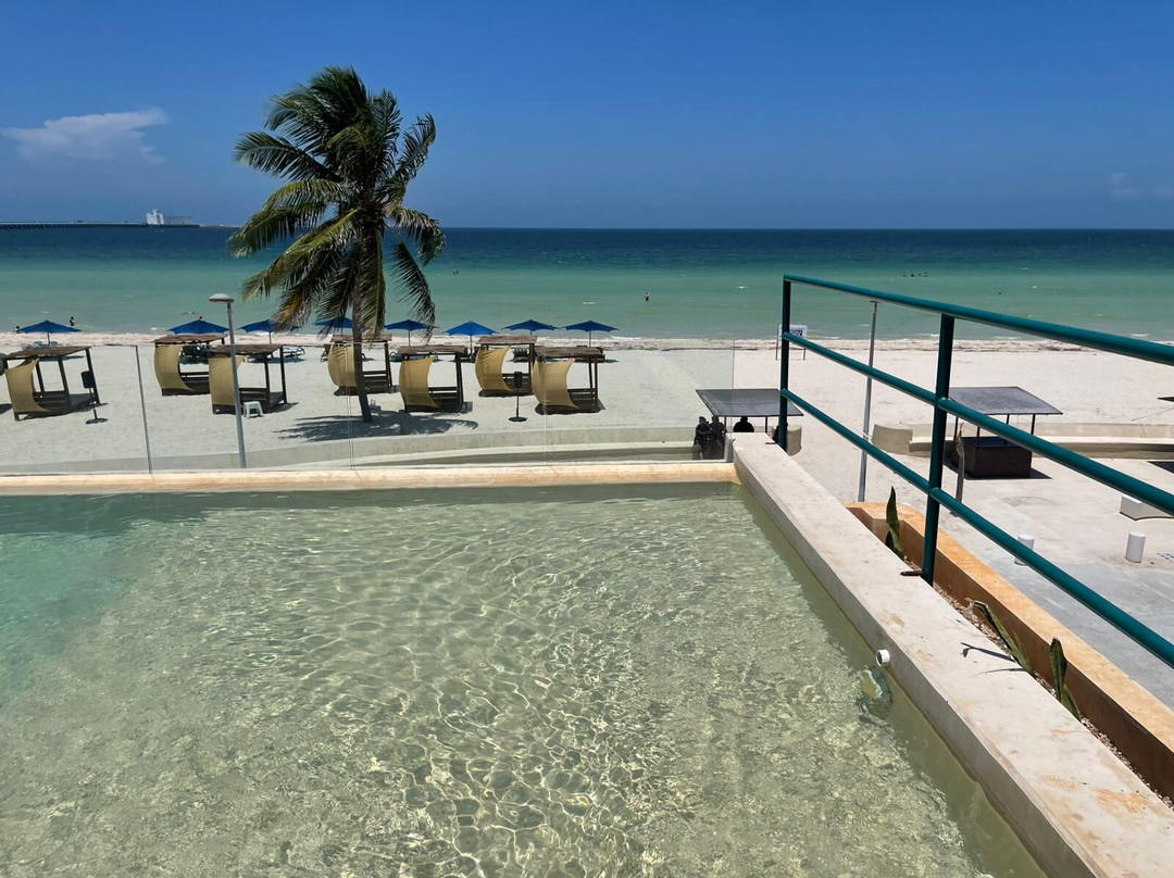 Hotel Scappata主图