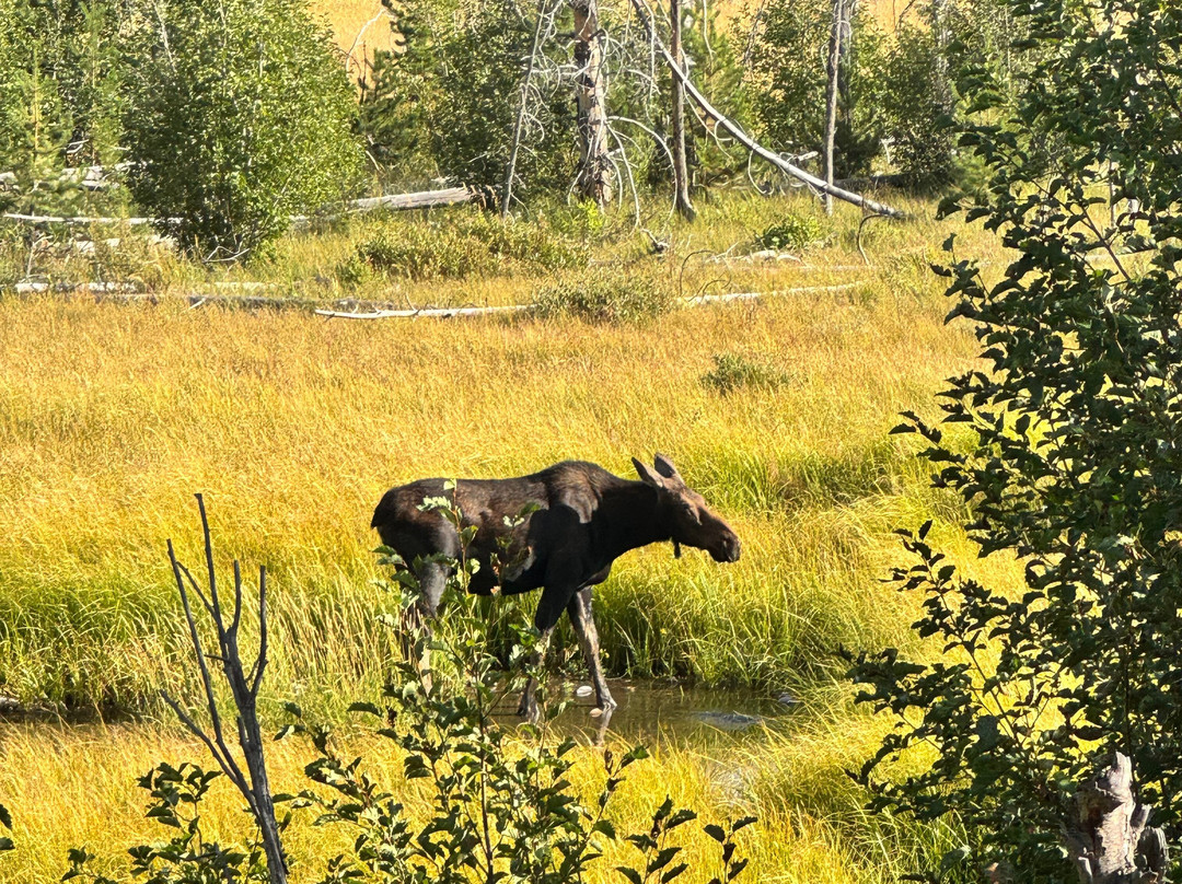 Mill Iron Ranch-杰克逊必去景点