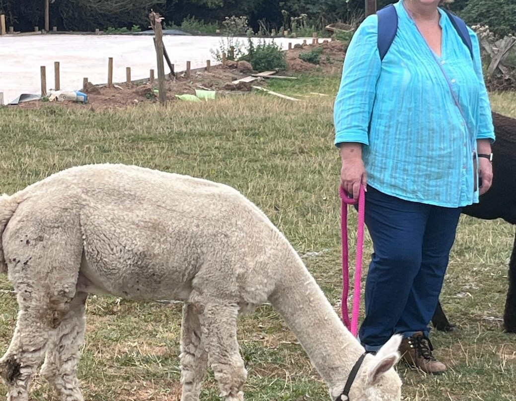 Lucky Tails Alpaca Farm-Atherstone必去景点