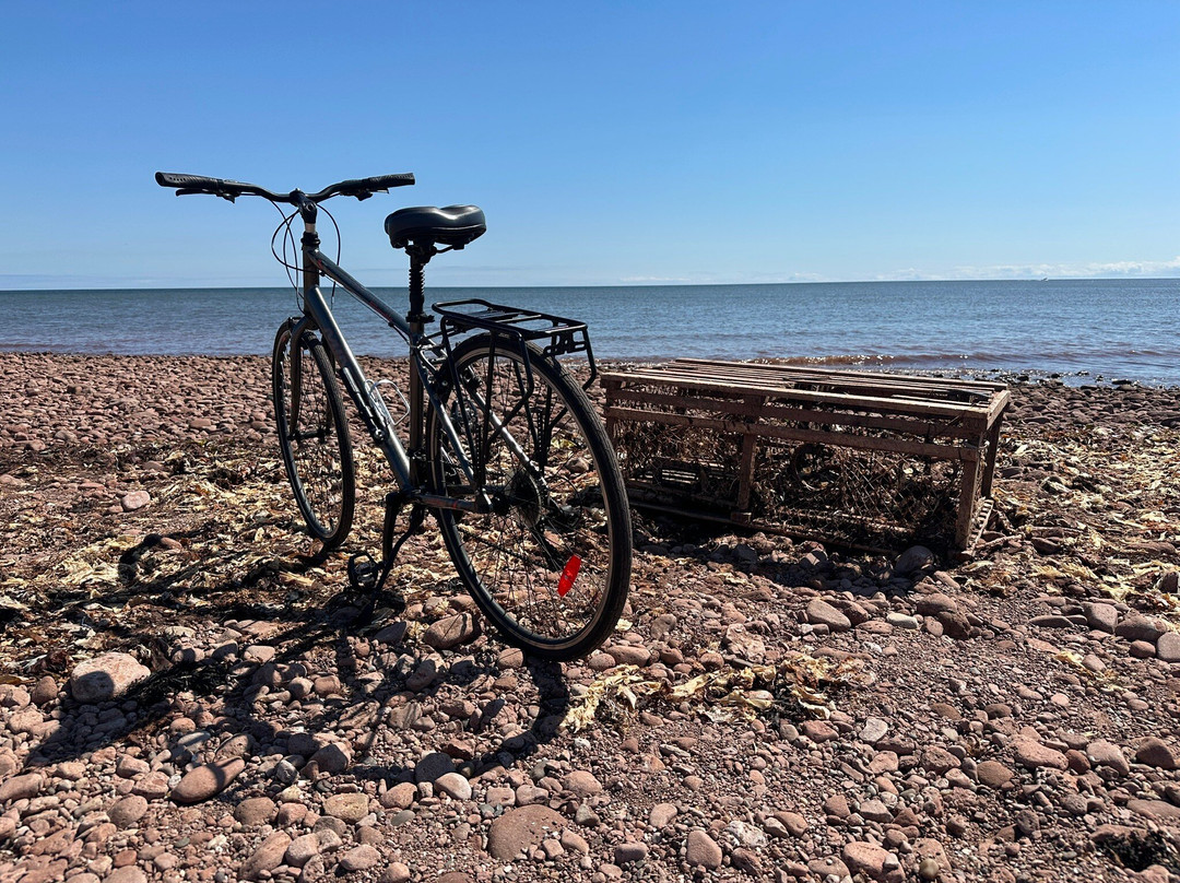 George Larter PEI-夏洛特镇必去景点