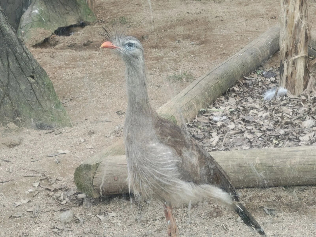 Zoo Pomerode-Pomerode必去景点