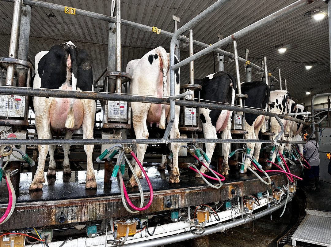 Kreider Farms-Manheim必去景点