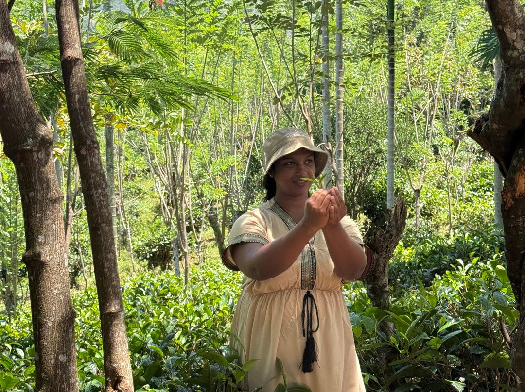 Amba Estate-班达拉维拉必去景点