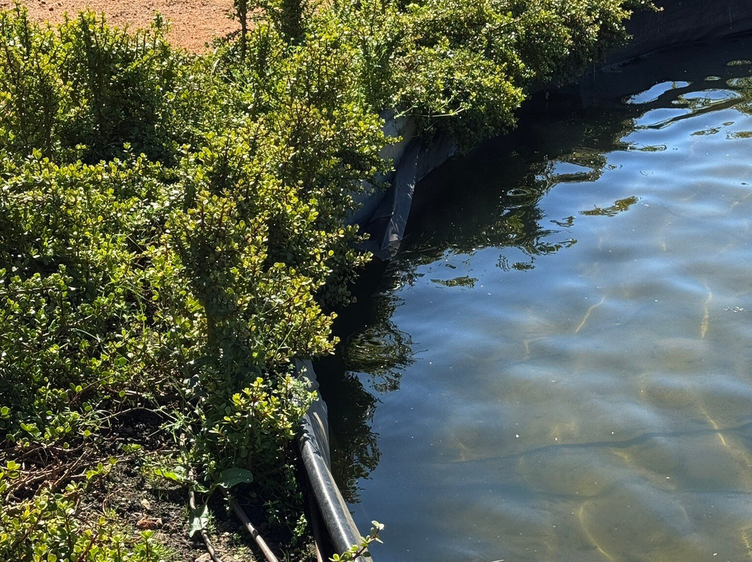 Boschendal-格鲁特•达肯斯恩山脉必去景点