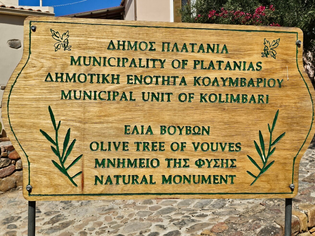 Olive Tree Museum of Vouves-Vouves必去景点