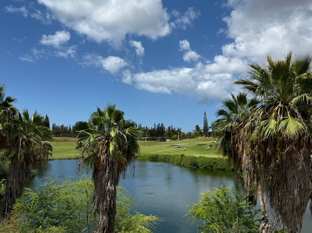 Kingdom Taxi Honolulu-火奴鲁鲁必去景点