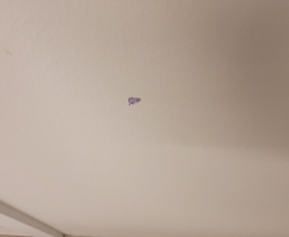 普鲁士王福吉谷源宿酒店主图