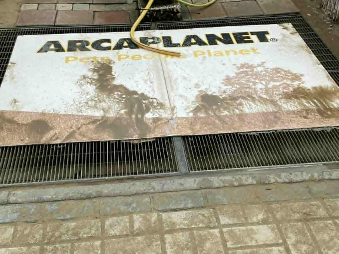 Rimini Dog No Problem - Bagno 81-里米尼必去景点