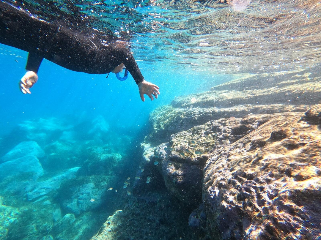 Endemic Azores-奥尔塔必去景点