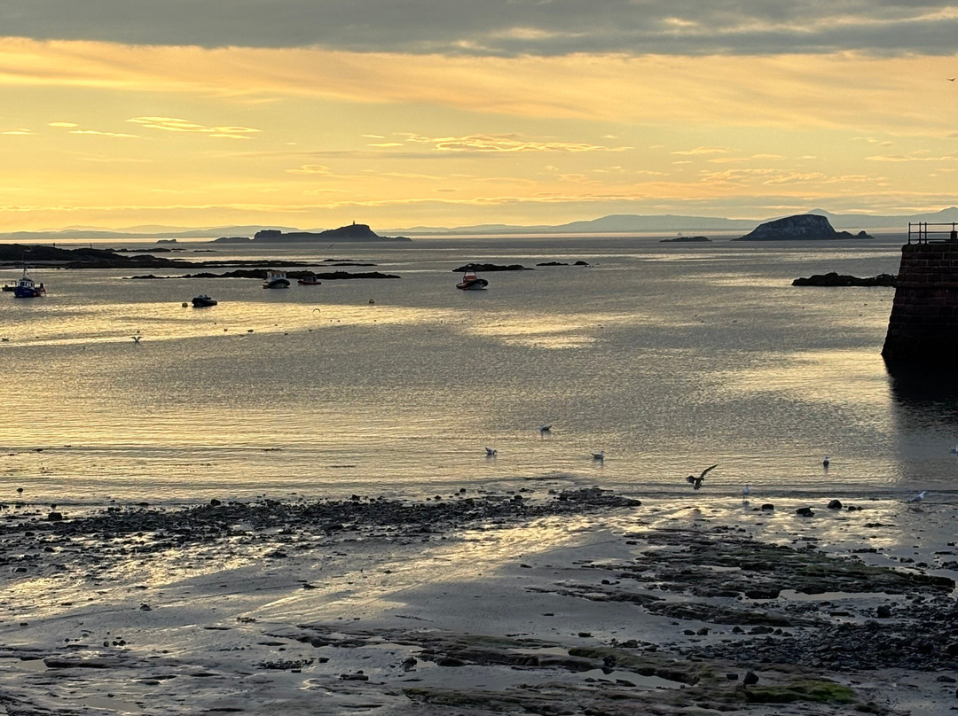North Berwick Harbour-北柏威克必去景点