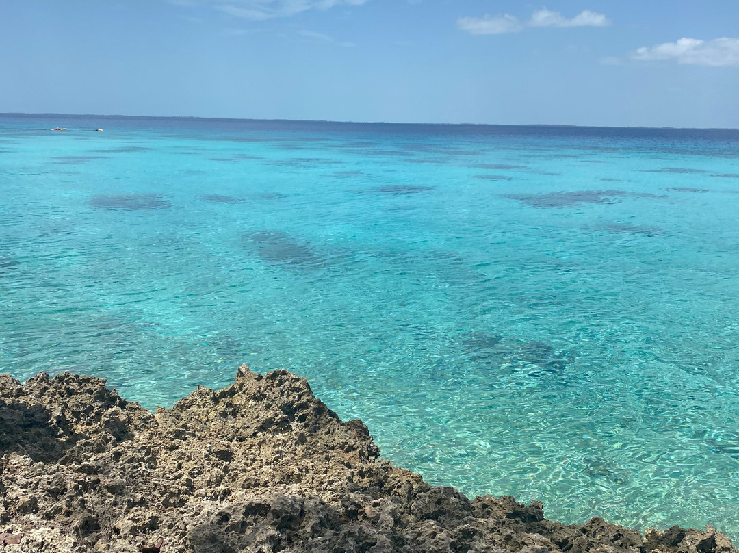 Cuban Classic Car Tours by Eddy-哈瓦那必去景点
