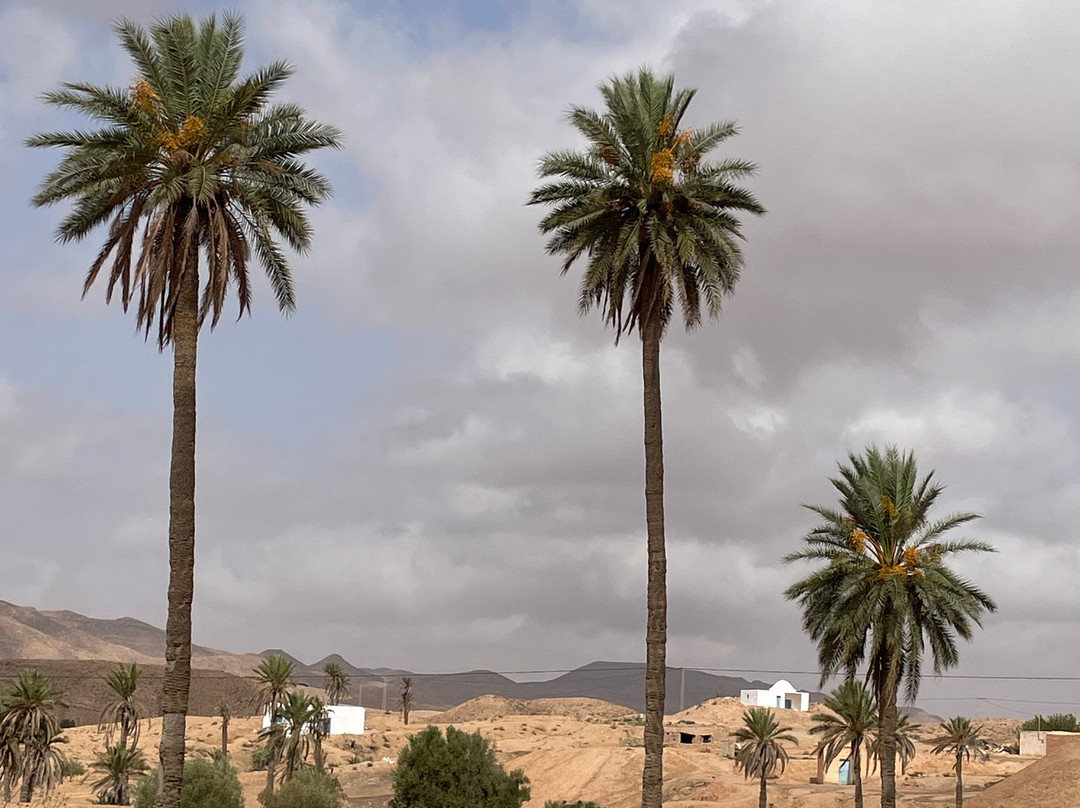 Autre Tunisie Day Tours-Houmt Souk必去景点