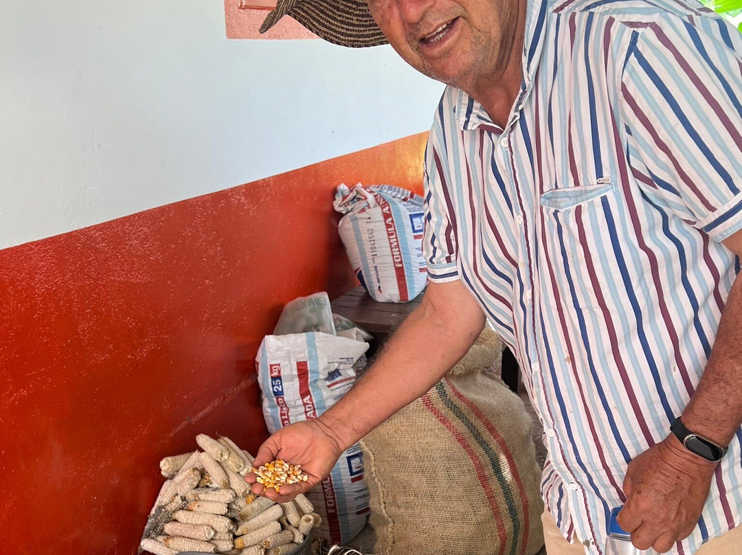 Hane Coffee-布埃纳维斯塔必去景点