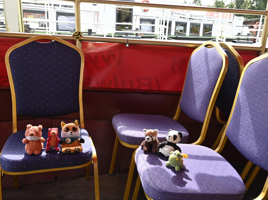 Wroclaw City Tour-弗罗茨瓦夫必去景点