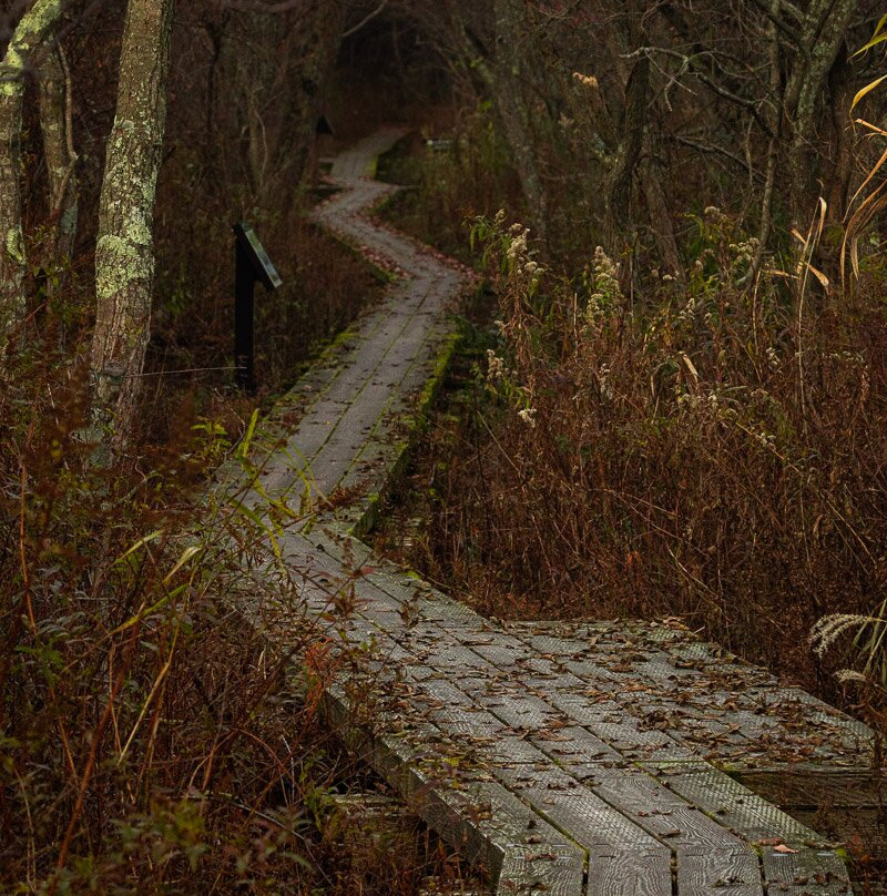 Lake Utonai Sanctuary-苫小牧市必去景点