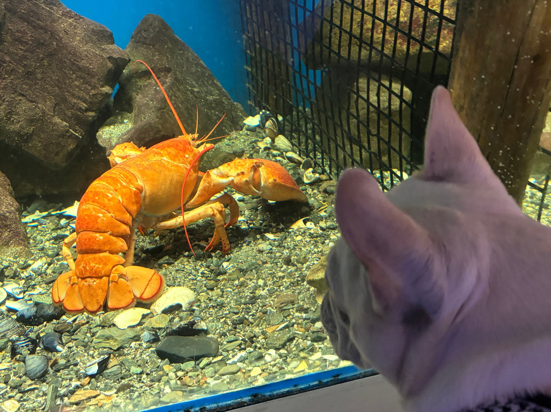 Oceanarium And Education Center-巴港必去景点