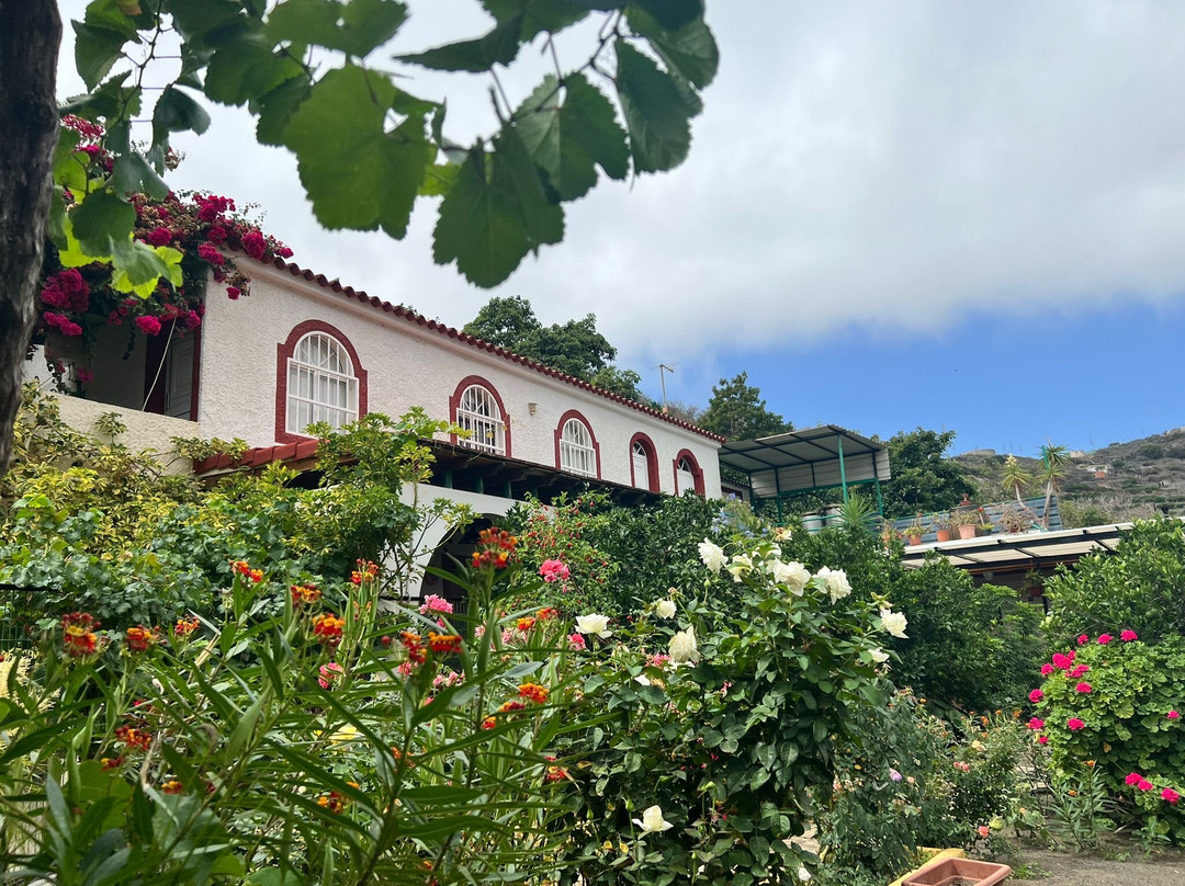 Handmade Tours.-大加那利岛拉斯帕尔马斯必去景点