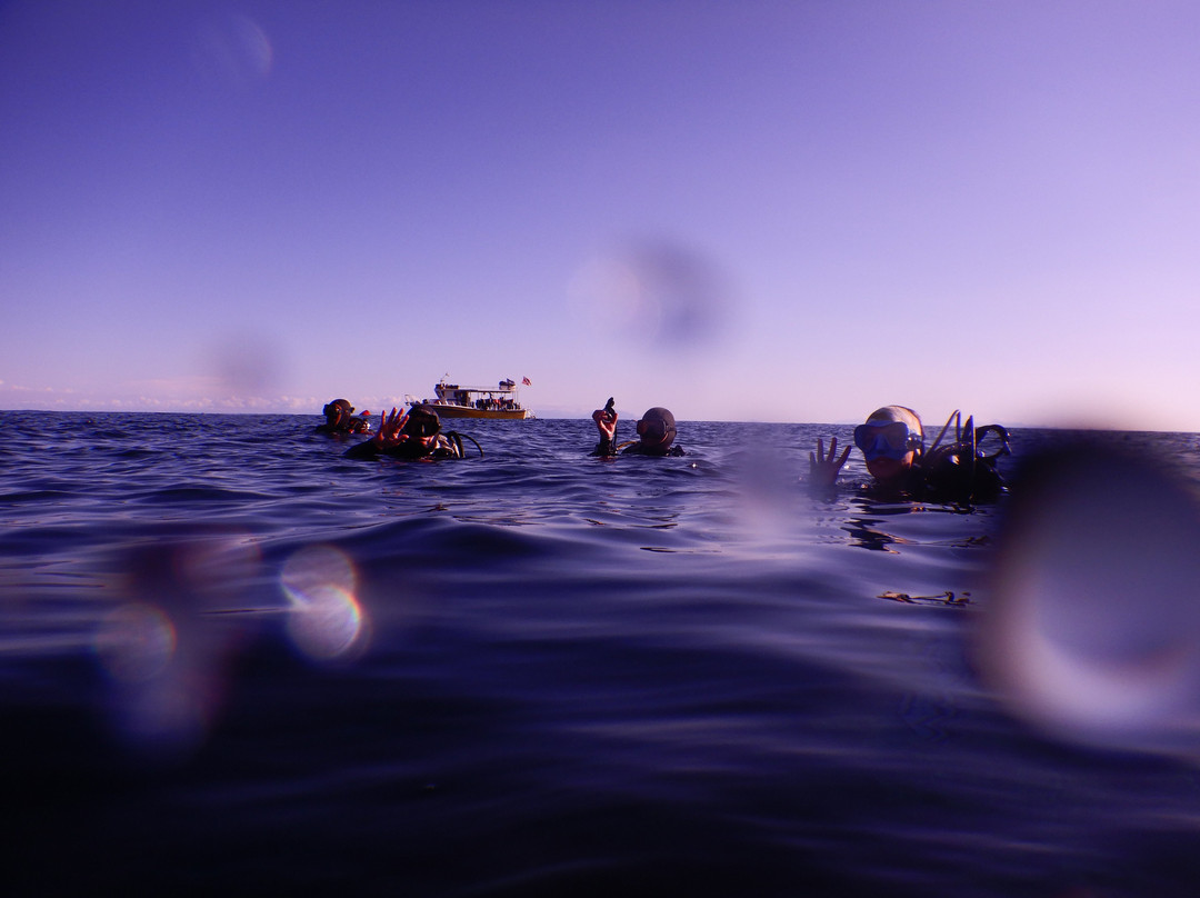 Lustrica diving-Ustica必去景点