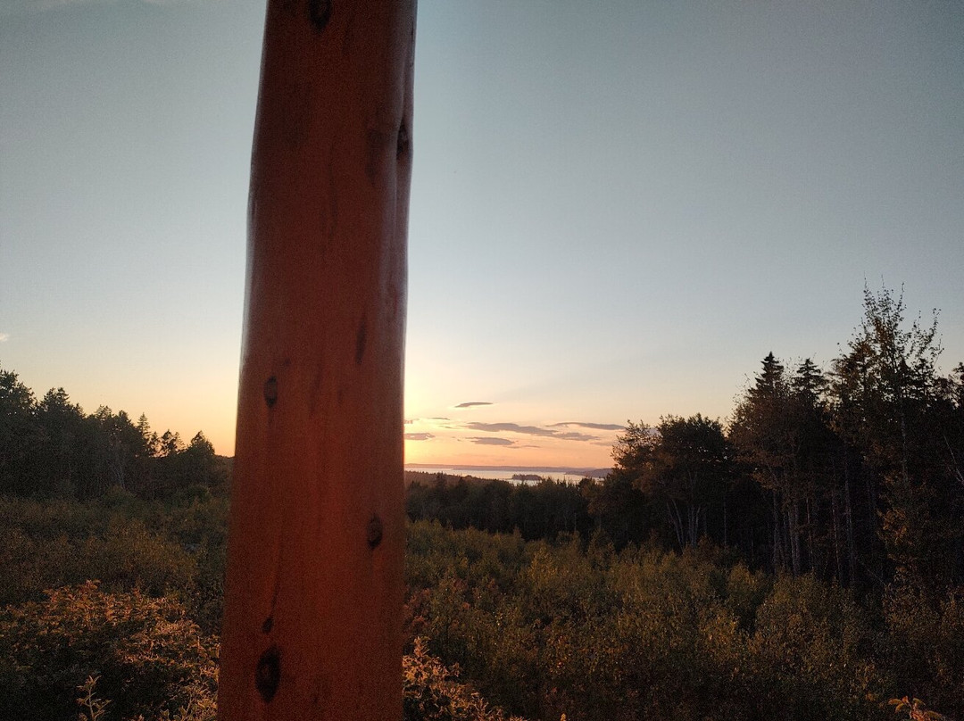 Bluff House Inn主图