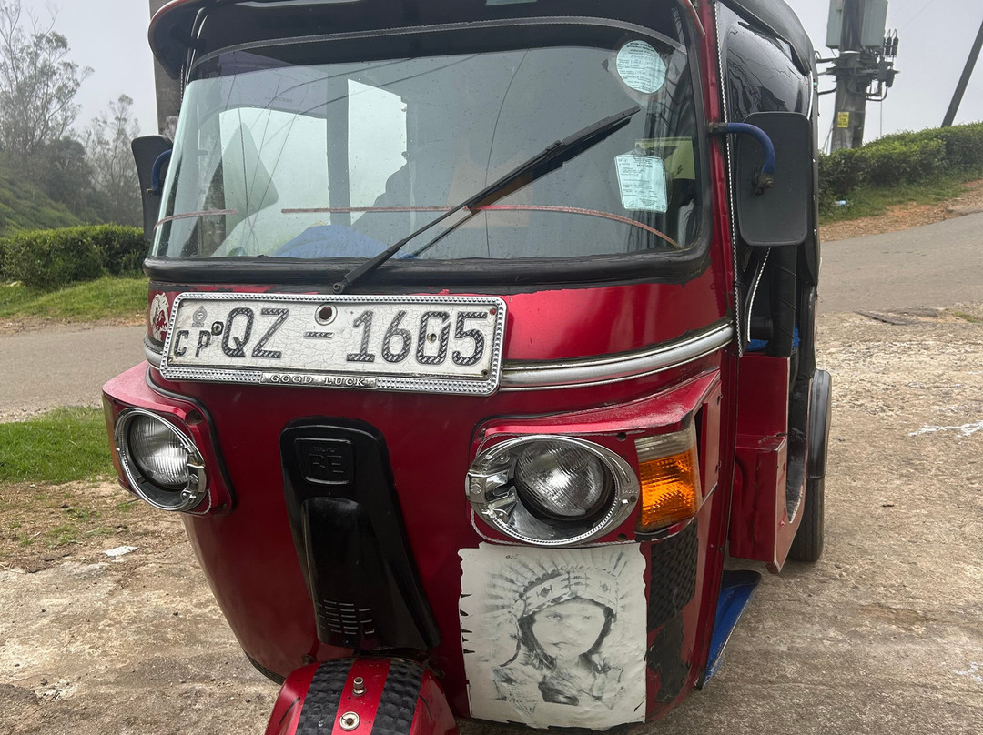 mini tuk tuk nanuoya tours-Nanu Oya必去景点