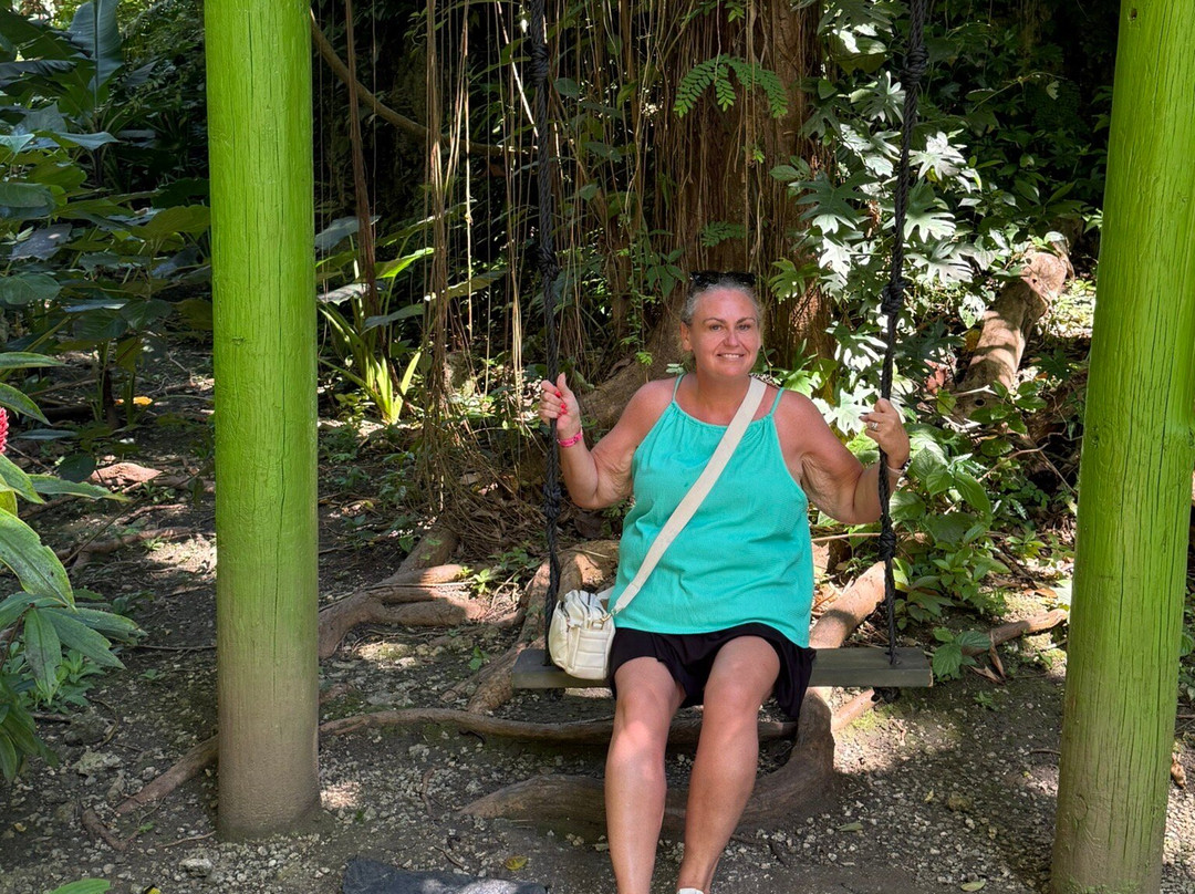 Harrison's Cave Eco-Adventure Park-Saint Thomas Parish必去景点