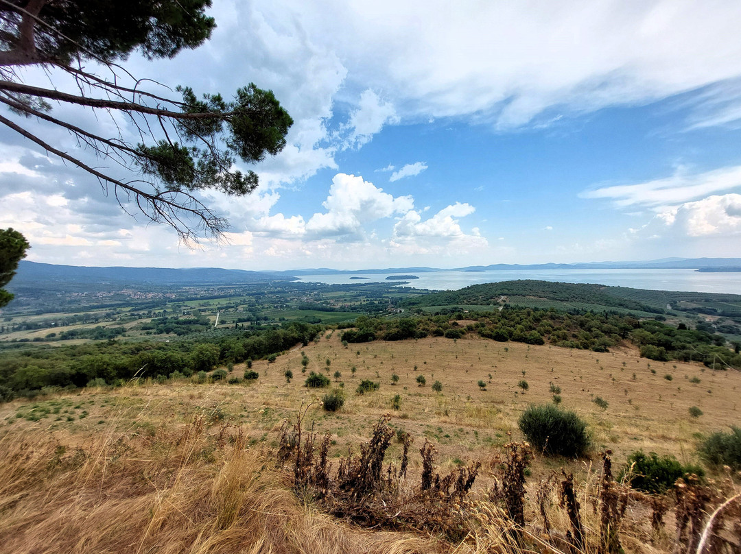 Castello di Montegualandro-Tuoro sul Trasimeno必去景点