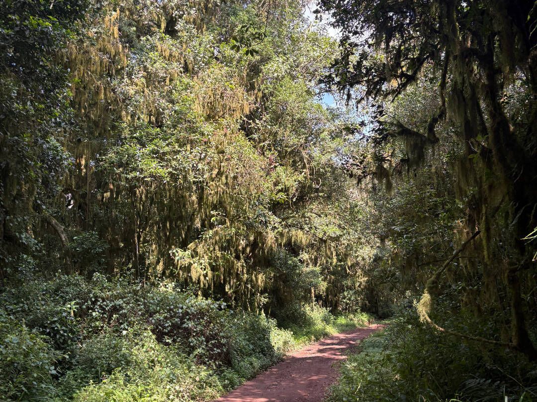 Avi Expeditions-内罗毕必去景点