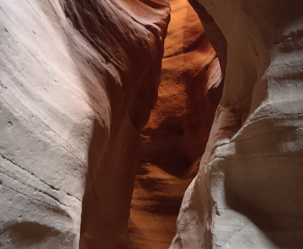 Zion Park Motel主图