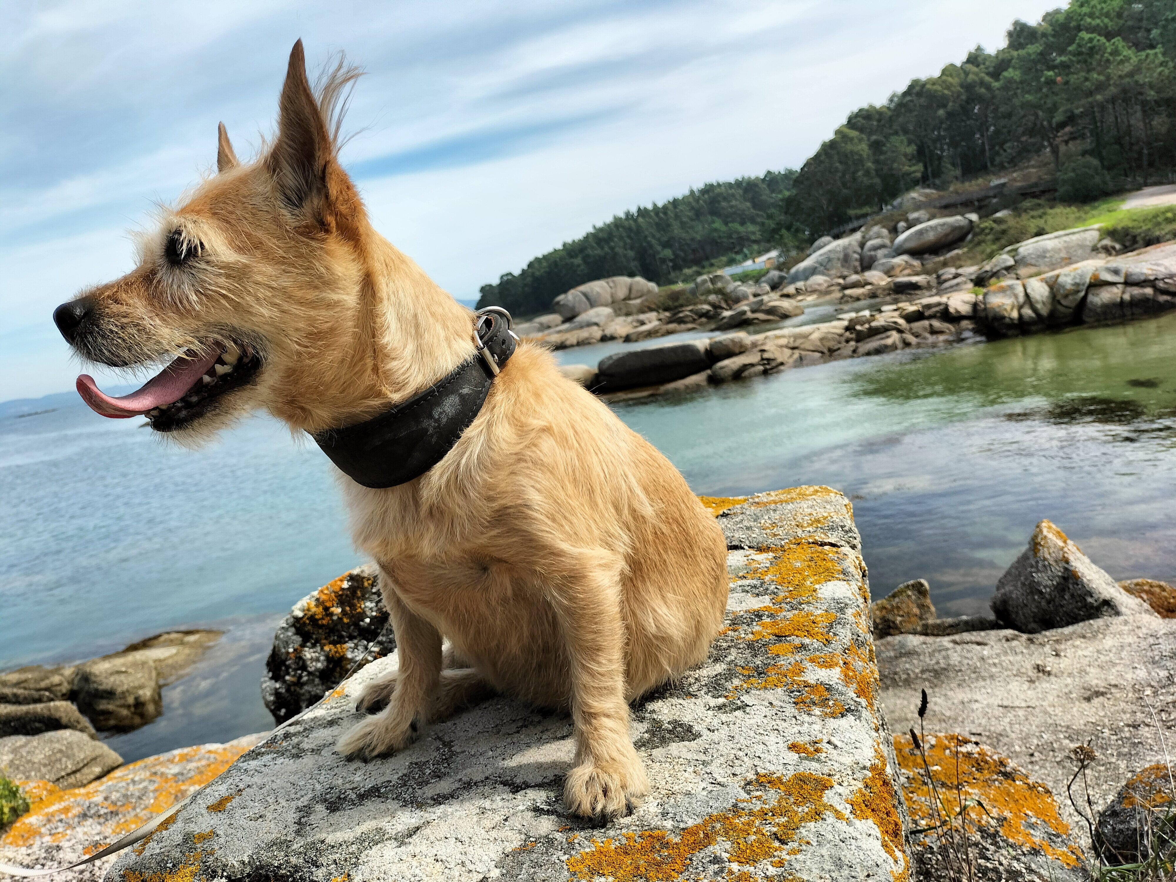 Cabicastro Aparthotel-官方