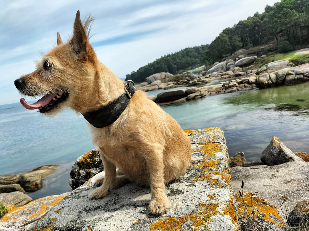 Cabicastro Aparthotel主图