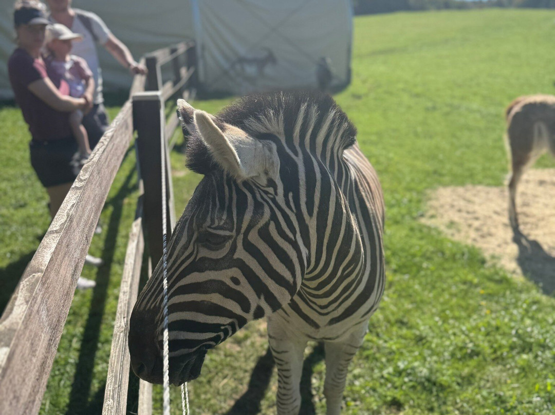 Krone Farm-Wessling必去景点