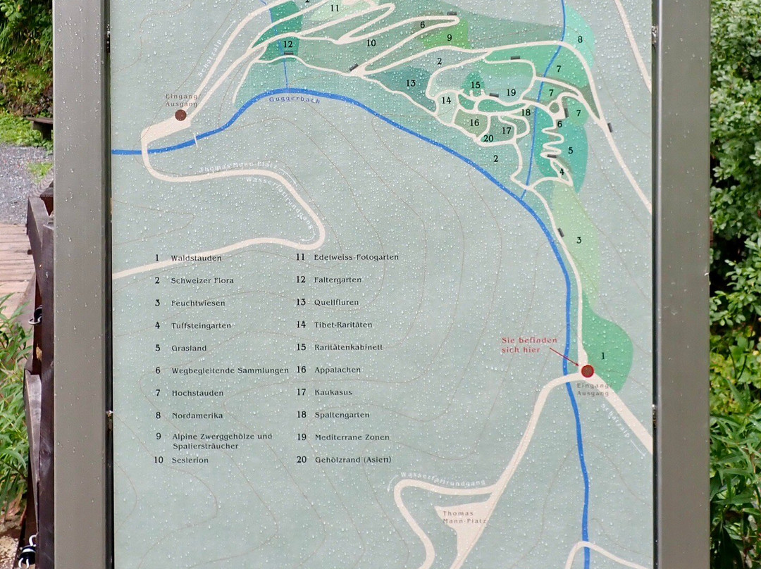 Botanical Garden Alpinum Schatzalp-Davos Platz必去景点