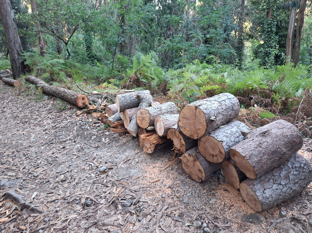 Colli San Rizzo-墨西拿必去景点