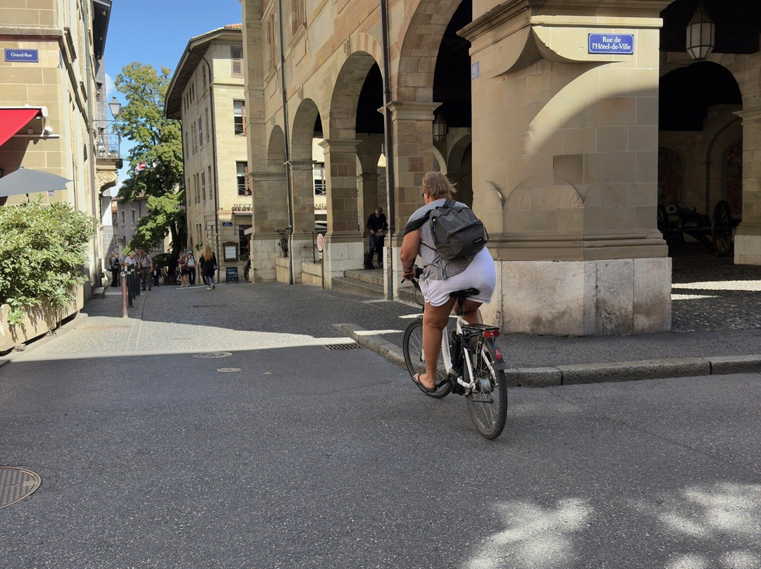 Lake Geneva E-Bike Company-Williams Bay必去景点