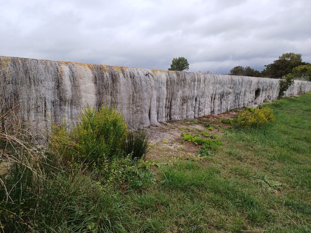 Terme Libere Piscine Carletti-维泰博必去景点