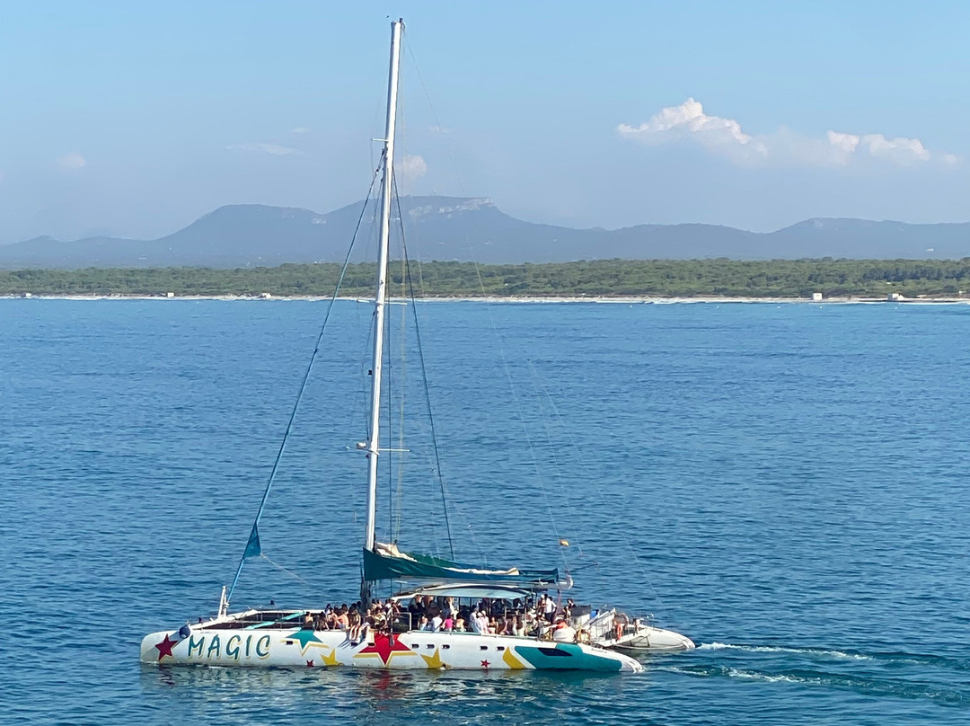 Universal Hotel Marqués主图