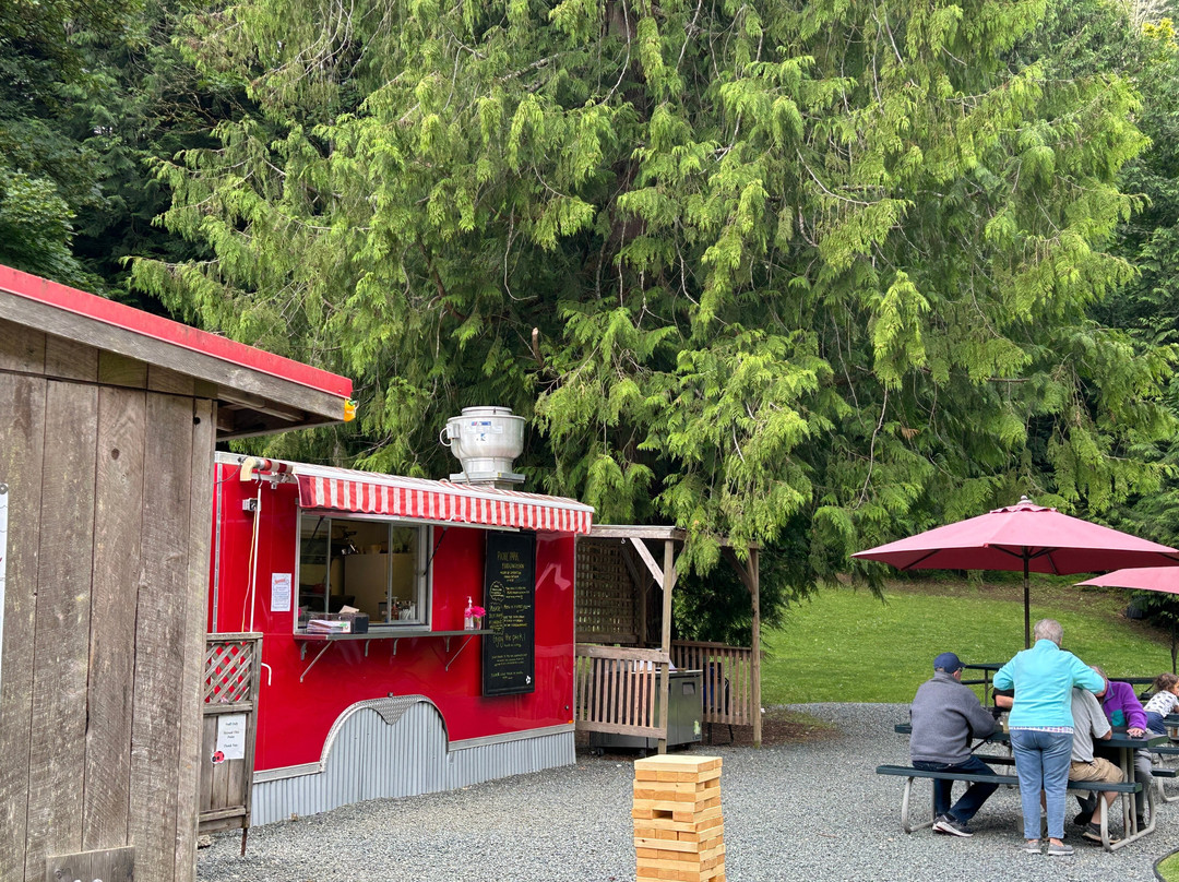 Pender Island Kayak Adventures-Pender Island必去景点