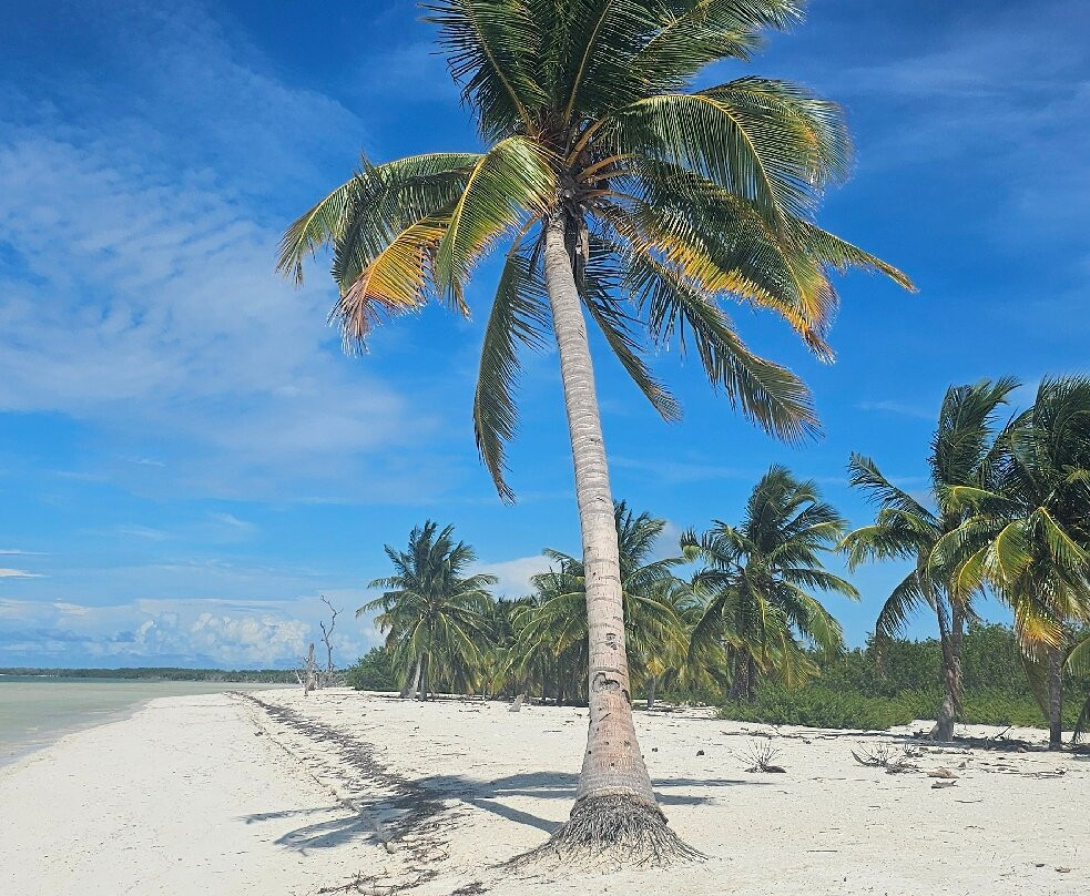 Cayo Blanco-特立尼达必去景点
