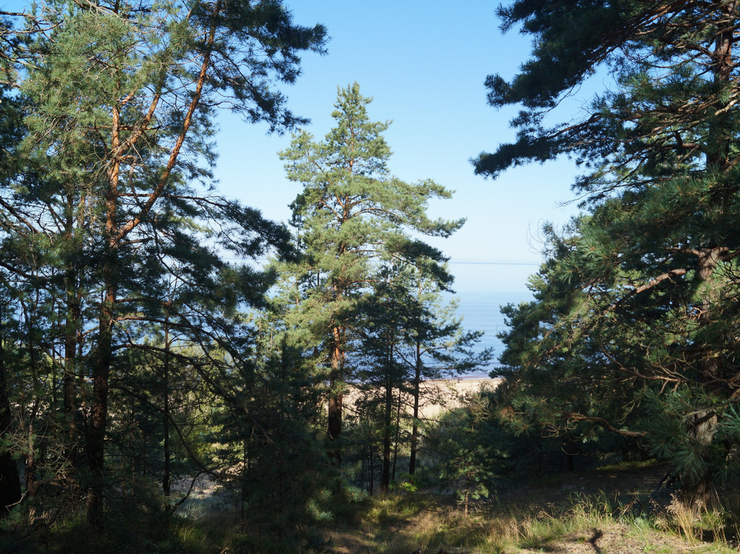White Dune-Saulkrasti必去景点