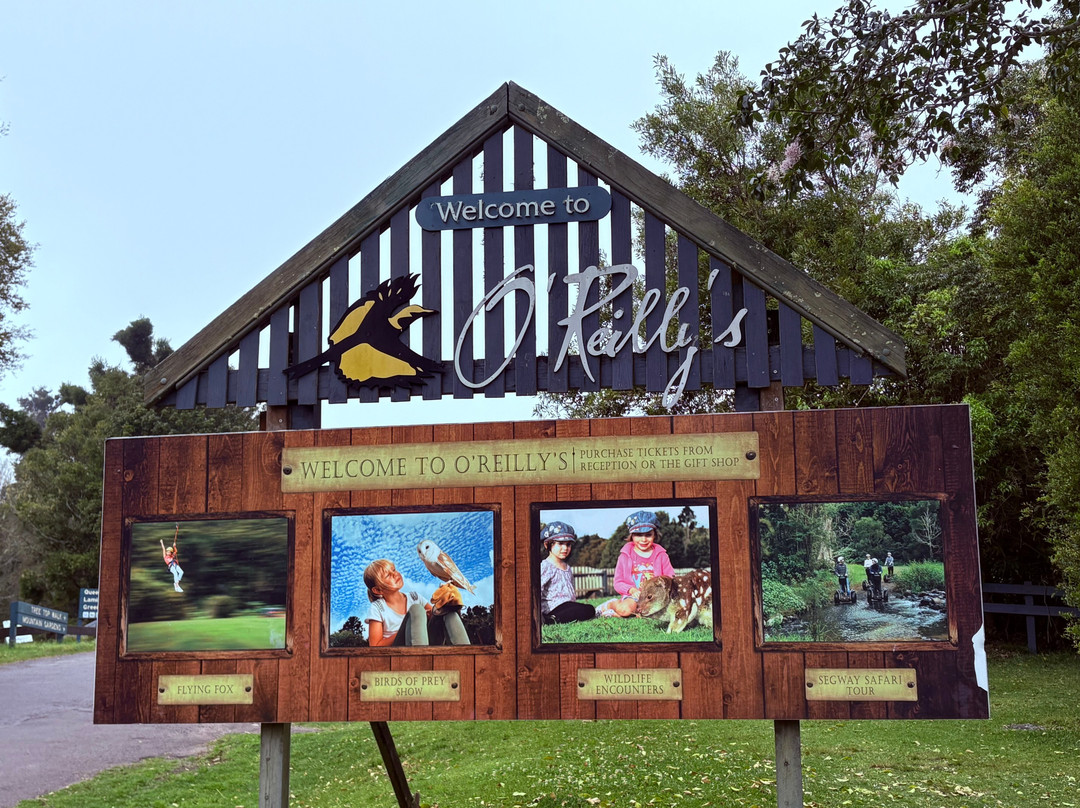 O'Reilly's Rainforest Retreat Day Experiences-莱明顿国家公园必去景点