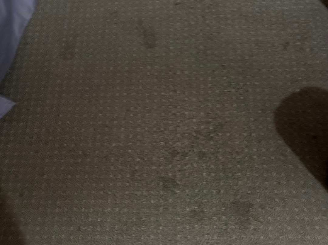 Rodeway Inn Fallsview主图