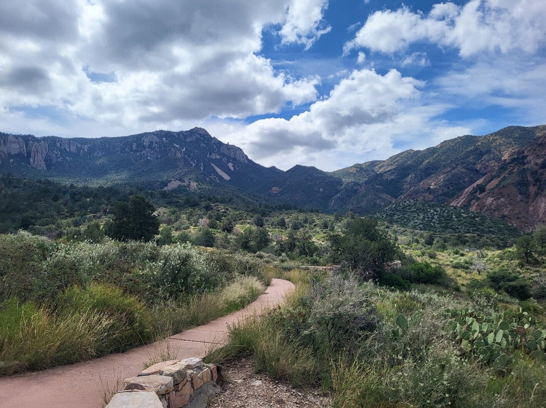Chisos Mountains-大弯国家公园必去景点